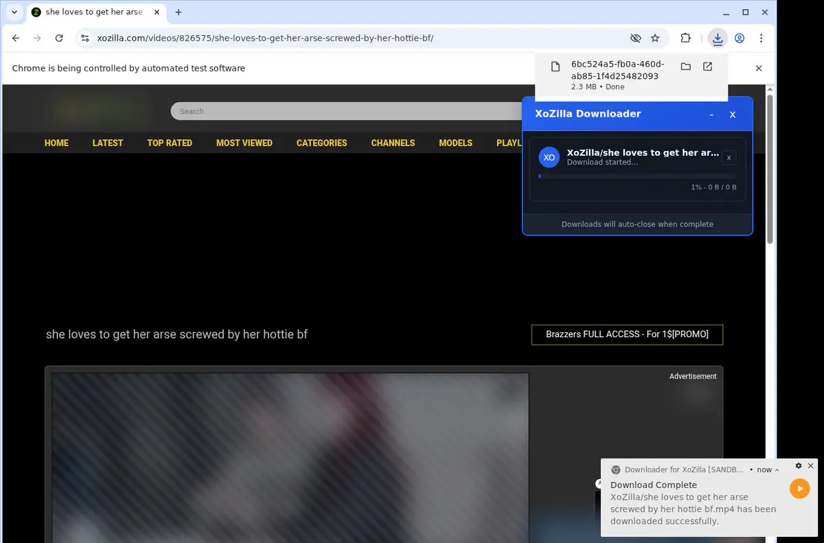 Xozilla Video Downloader screenshot 2