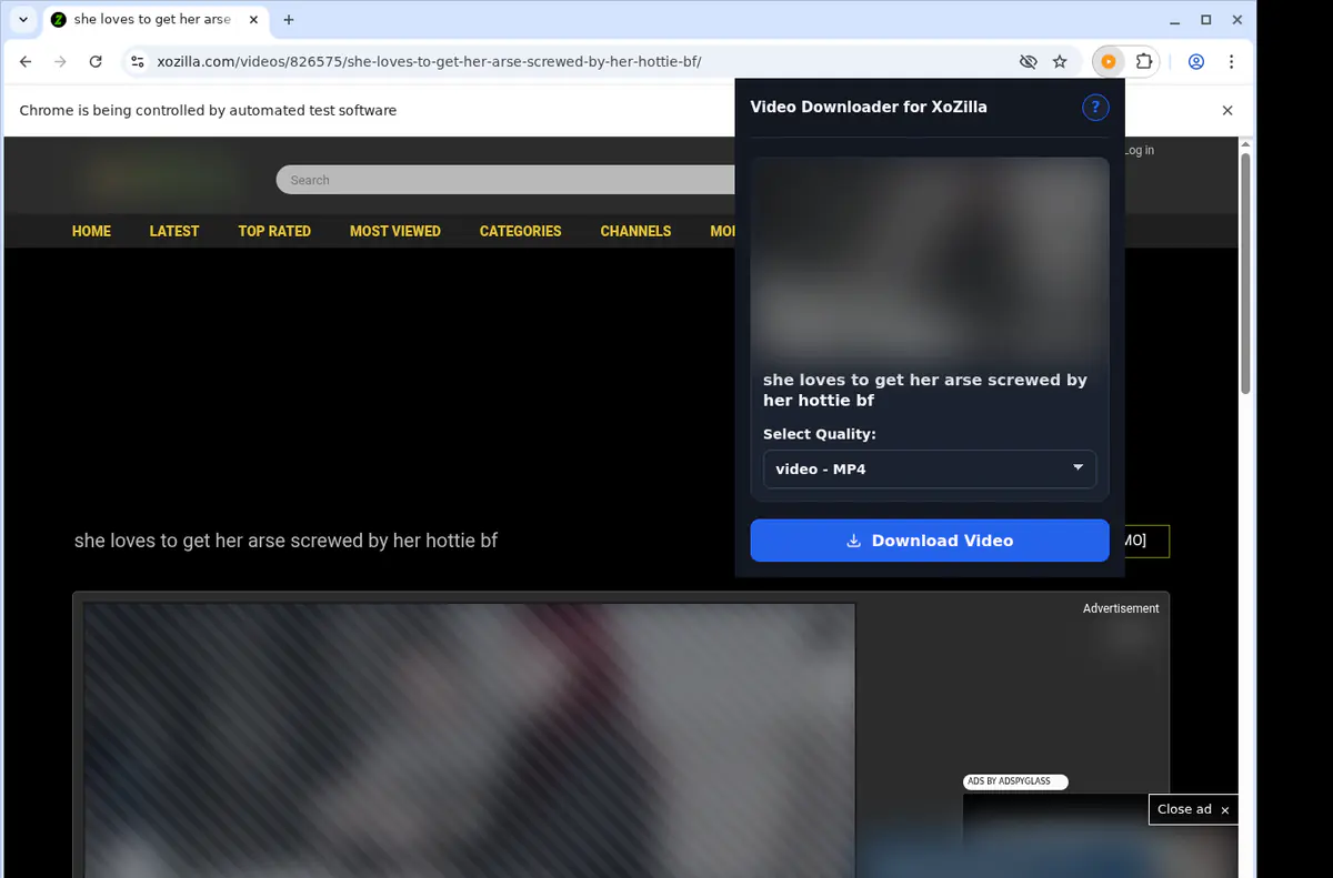 Xozilla Video Downloader screenshot 3